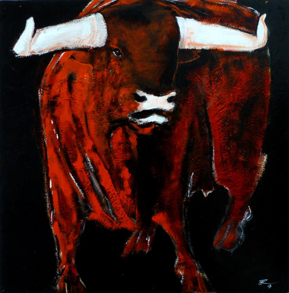 regard animal corrida